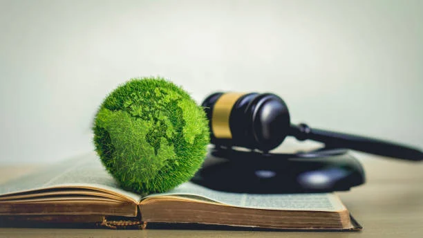 The Role of Class Action Lawsuits in Environmental Protection